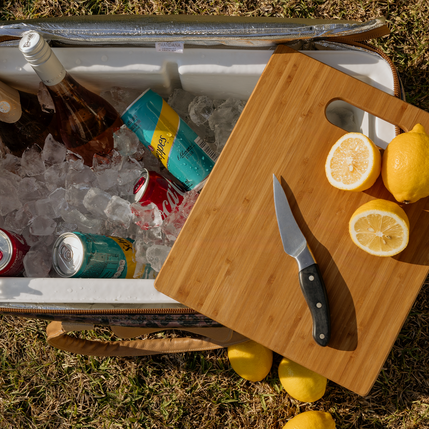 45L Big Boy Box Cooler Laminated Hard Plastic Inner