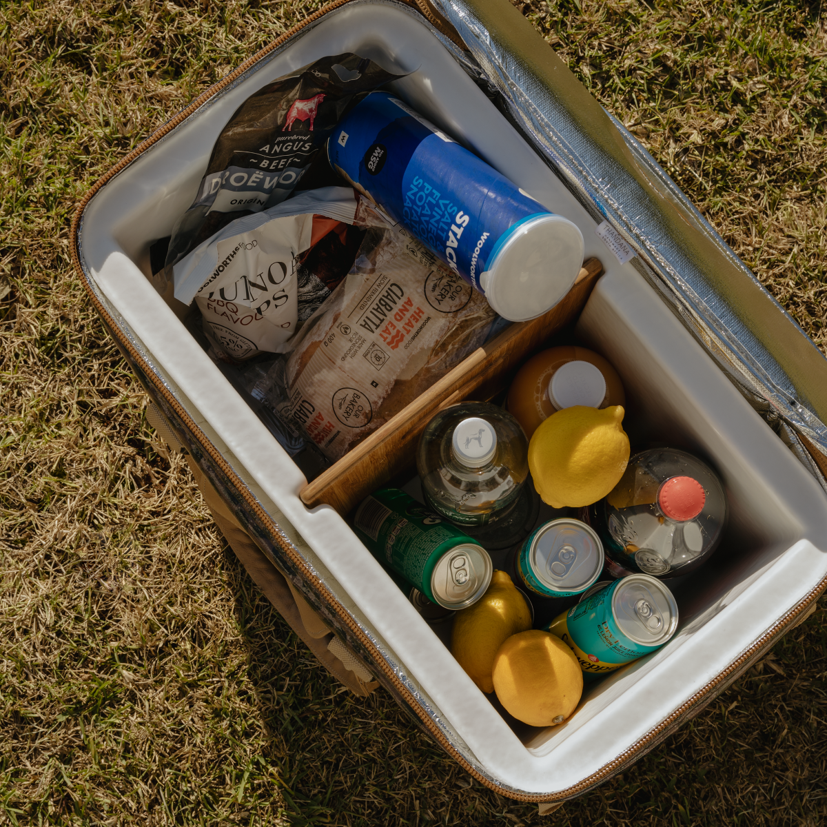 45L Big Boy Box Cooler Laminated Hard Plastic Inner